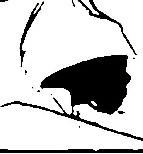 _bmpy2j11